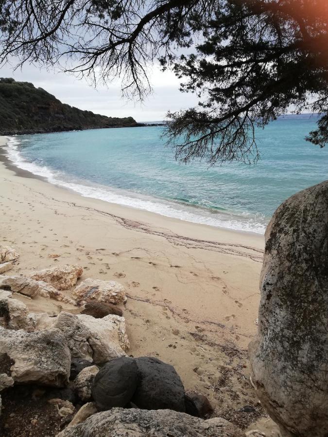 Appartamento Meduse Cala Gonone Værelse billede