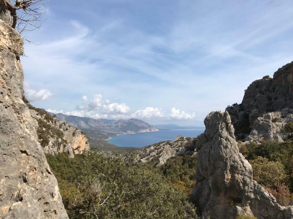 Appartamento Meduse Cala Gonone Eksteriør billede